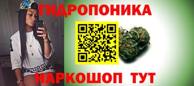 твердый Будённовск
