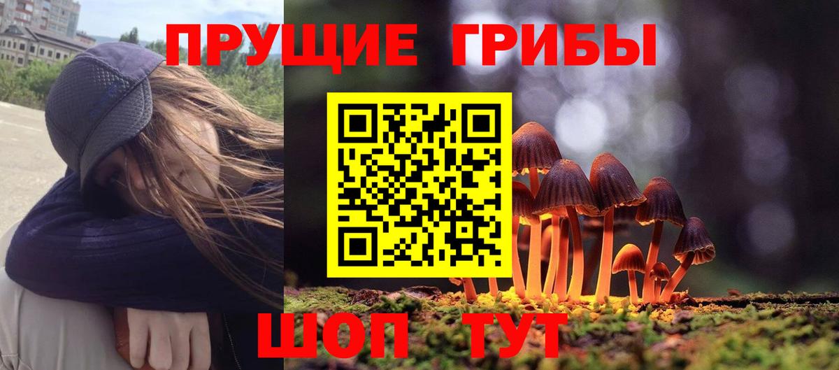 Майский  Галлюциногенные грибы MAGIC MUSHROOMS  Вход с VPN  Галлюциногенные грибы Psilocybine cubensis 